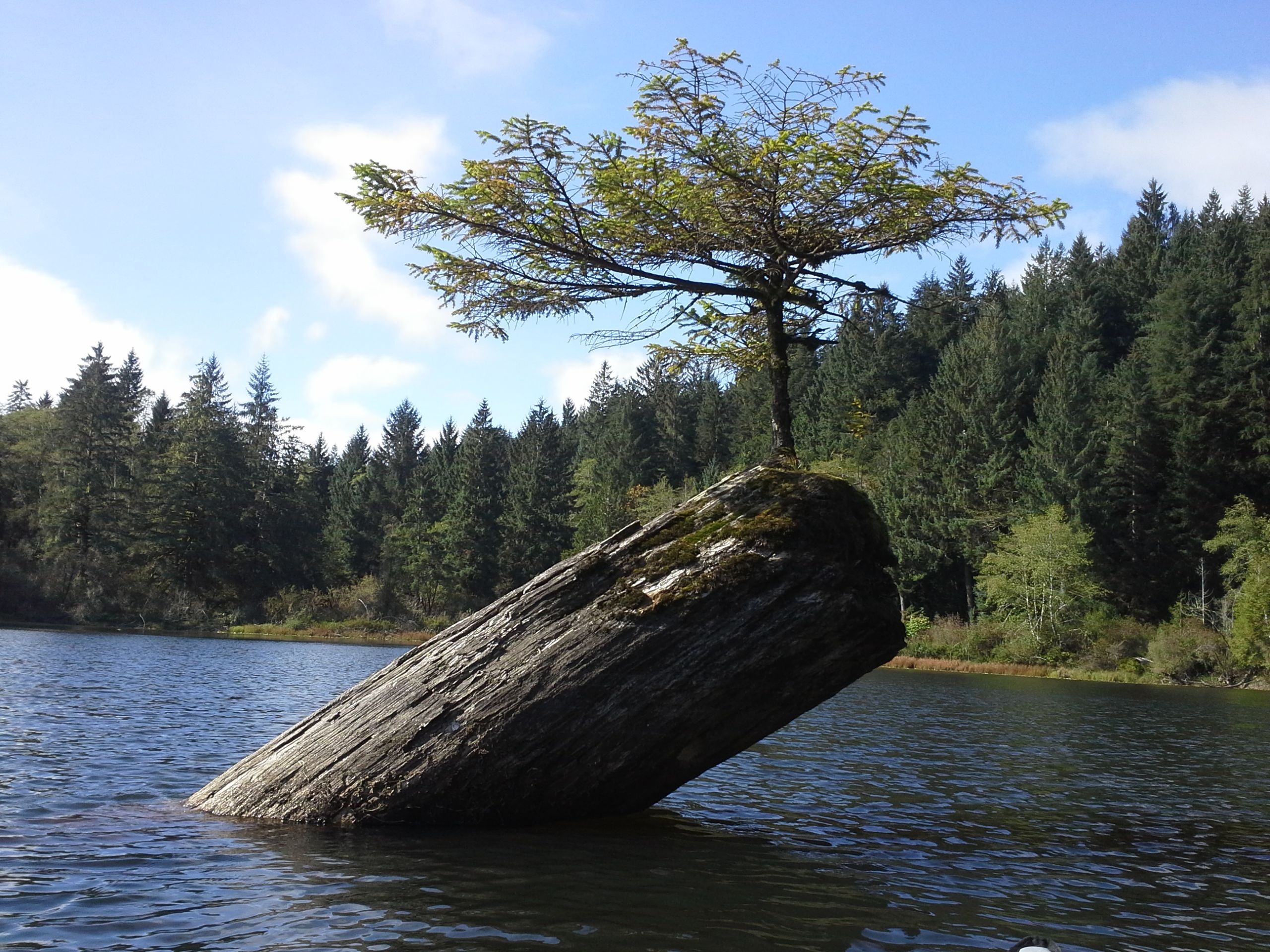 Fairy Lake, Port Renfrew, Vancouver Island-canada-Stumbit Explore